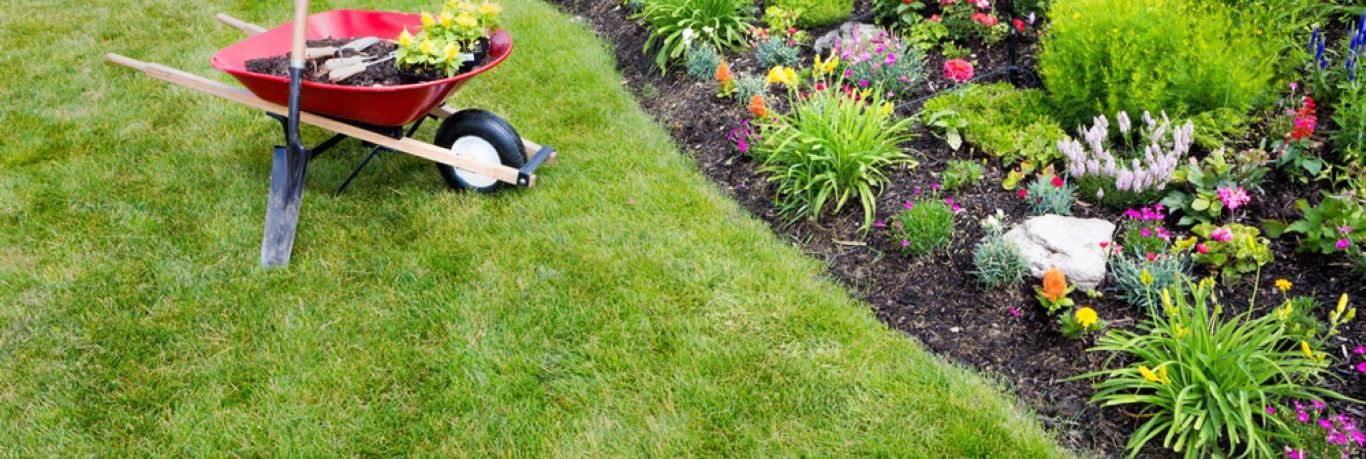 professional landscaping