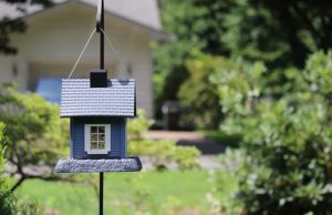 a simple birdhouse